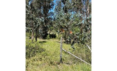 Grace Kelm Vende Parcela 5000 m2, rol inscripto,  acceso directo a la ruta O-526 (camino público Florida-Quillón),en Quillon