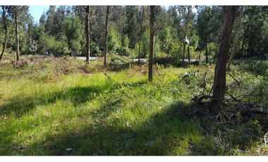 Grace Kelm Vende Parcela 5000 m2, rol inscripto,  acceso directo a la ruta O-526 (camino público Florida-Quillón),en Quillon