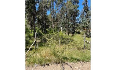 Grace Kelm Vende Parcela 5000 m2, rol inscripto,  acceso directo a la ruta O-526 (camino público Florida-Quillón),en Quillon