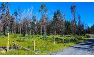 Grace Kelm Vende Parcela 5000 m2, rol inscripto,  acceso directo a la ruta O-526 (camino público Florida-Quillón),en Quillon