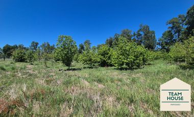 Parcela Condominio Cayumapu