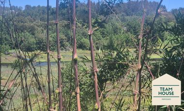 Parcela Condominio Cayumapu