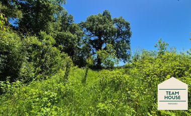 Parcela Condominio Cayumapu