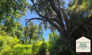 Parcela Condominio Cayumapu