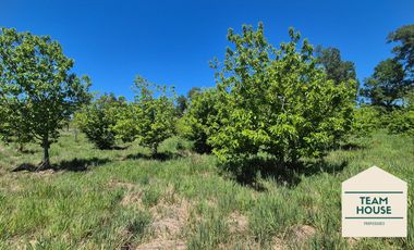 Parcela Condominio Cayumapu