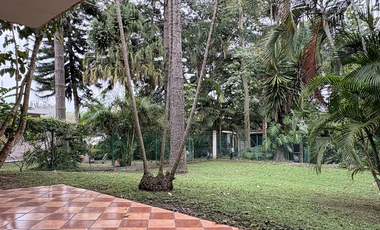 Xalapa Casa en Renta zona Centro