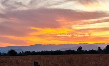 Parcela en venta de 5000m2 ubicado en Santa Cruz