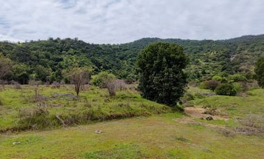 Parcela en venta de 5000m2 ubicado en Santa Cruz