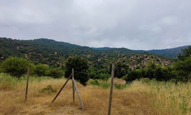 Parcela en venta de 5000m2 ubicado en Santa Cruz