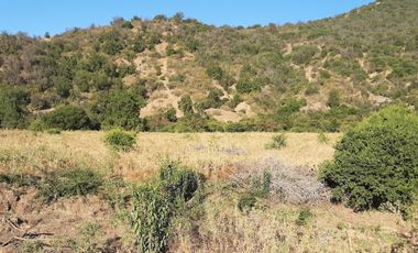 Parcela en venta de 5000m2 ubicado en Santa Cruz