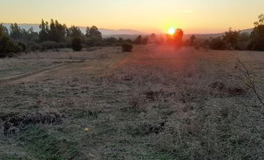 Parcela en venta de 5000m2 ubicado en Santa Cruz