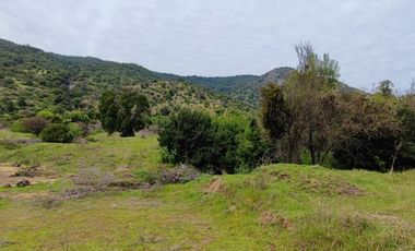 Parcela en venta de 5000m2 ubicado en Santa Cruz