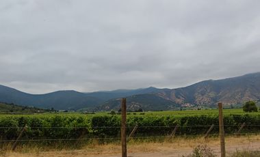 Parcela en venta de 5000m2 ubicado en Santa Cruz