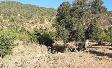 Parcela en venta de 5000m2 ubicado en Santa Cruz