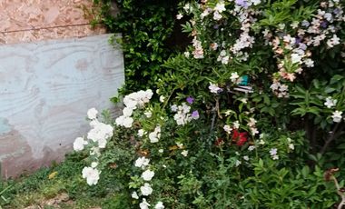 VENTA DE HERMOSA CASA EN MOSTAZAL