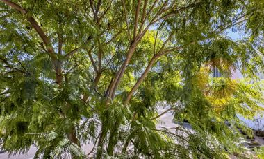 CASA EN VENTA EN ZIBATÁ EN CONDOMINIO ACACIA