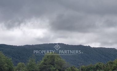 Gran predio forestal de 1.800 hectáreas colindante al Parque Nacional Chiloé y a solo 18 km de Castro, Chiloé