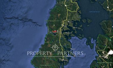 Gran predio forestal de 1.800 hectáreas colindante al Parque Nacional Chiloé y a solo 18 km de Castro, Chiloé