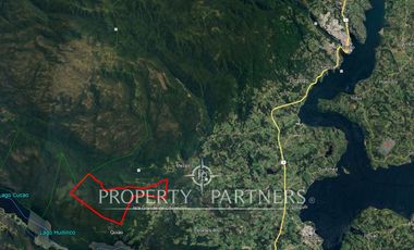 Gran predio forestal de 1.800 hectáreas colindante al Parque Nacional Chiloé y a solo 18 km de Castro, Chiloé