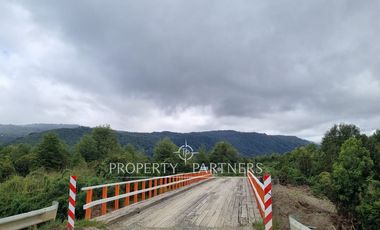 Gran predio forestal de 1.800 hectáreas colindante al Parque Nacional Chiloé y a solo 18 km de Castro, Chiloé