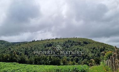 Gran predio forestal de 1.800 hectáreas colindante al Parque Nacional Chiloé y a solo 18 km de Castro, Chiloé