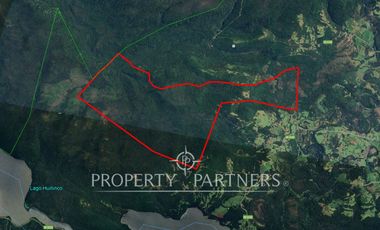 Gran predio forestal de 1.800 hectáreas colindante al Parque Nacional Chiloé y a solo 18 km de Castro, Chiloé