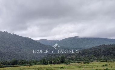 Gran predio forestal de 1.800 hectáreas colindante al Parque Nacional Chiloé y a solo 18 km de Castro, Chiloé
