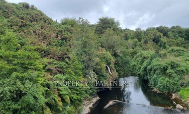 Gran predio forestal de 1.800 hectáreas colindante al Parque Nacional Chiloé y a solo 18 km de Castro, Chiloé