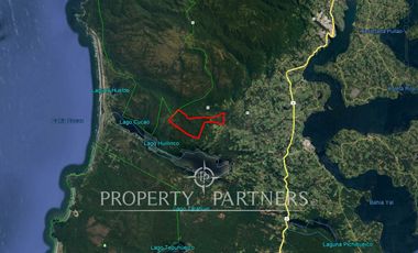 Gran predio forestal de 1.800 hectáreas colindante al Parque Nacional Chiloé y a solo 18 km de Castro, Chiloé