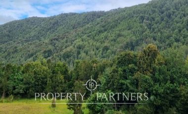 Gran predio forestal de 1.800 hectáreas colindante al Parque Nacional Chiloé y a solo 18 km de Castro, Chiloé