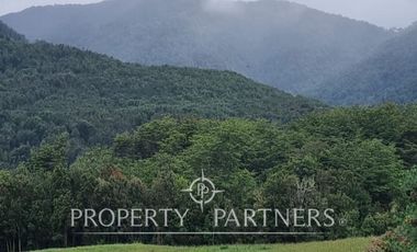 Gran predio forestal de 1.800 hectáreas colindante al Parque Nacional Chiloé y a solo 18 km de Castro, Chiloé