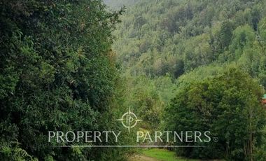 Gran predio forestal de 1.800 hectáreas colindante al Parque Nacional Chiloé y a solo 18 km de Castro, Chiloé