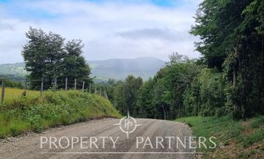 Gran predio forestal de 1.800 hectáreas colindante al Parque Nacional Chiloé y a solo 18 km de Castro, Chiloé