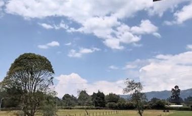 ARRIENDO de CASAS en TENJO