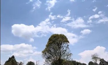 ARRIENDO de CASAS en TENJO