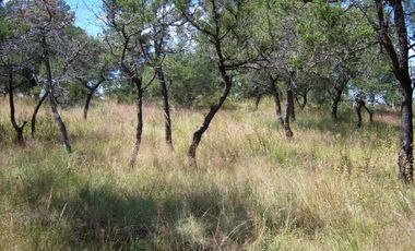 VENTA LOTES EN FRACCIONAMIENTO EN IXTACUIXTLA