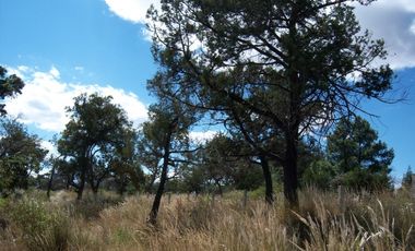 VENTA LOTES EN FRACCIONAMIENTO EN IXTACUIXTLA