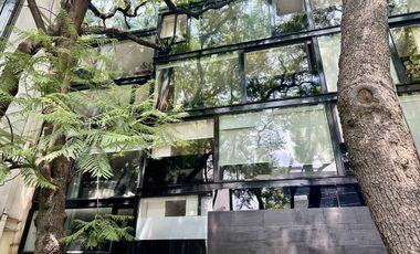 Polanco céntrico y fino departamento