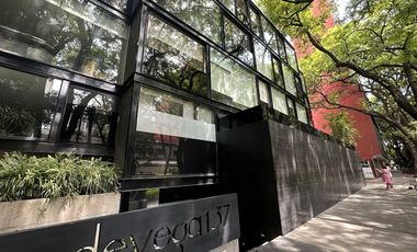 Polanco céntrico y fino departamento