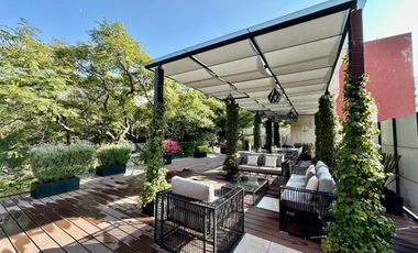 Polanco céntrico y fino departamento