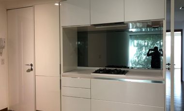 Polanco céntrico y fino departamento