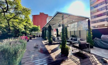 Polanco céntrico y fino departamento