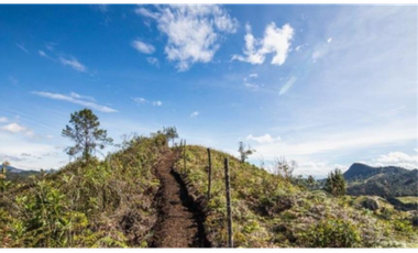 Lote en venta en EL RETIRO, Sector el Chuscal.