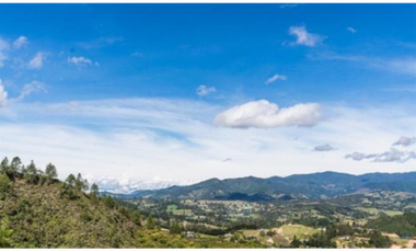 Lote en venta en EL RETIRO, Sector el Chuscal.