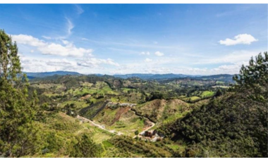 Lote en venta en EL RETIRO, Sector el Chuscal.