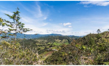 Lote en venta en EL RETIRO, Sector el Chuscal.