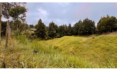 Venta Lote Industrial Guarne Para Bodega Autopista Medellin Bogota