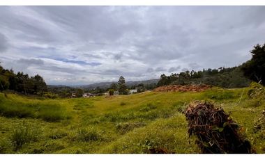 Venta Lote Industrial Guarne Para Bodega Autopista Medellin Bogota