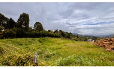 Venta Lote Industrial Guarne Para Bodega Autopista Medellin Bogota