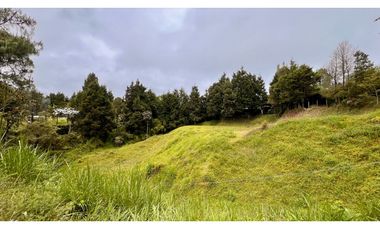 Venta Lote Industrial Guarne Para Bodega Autopista Medellin Bogota